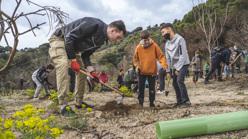 Life Terra 1 Planting Trees Life Terra