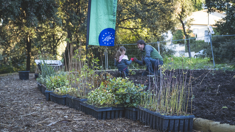 Planting Trees in Europe Life Terra