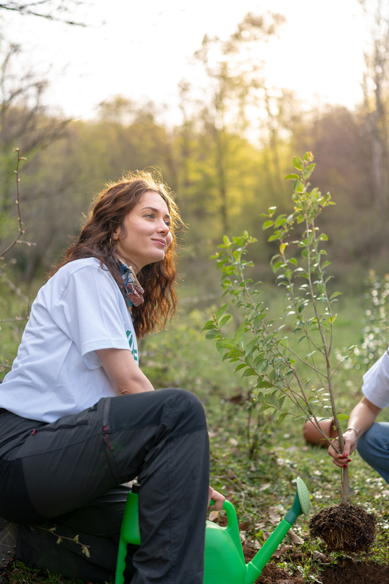 What is ecosystem restoration