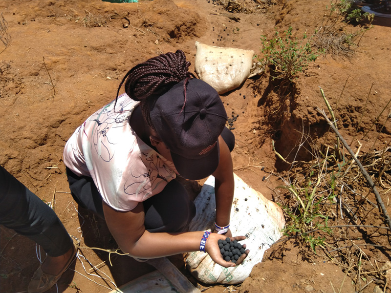 mini Ndashinyi 18 Free Spirit Planting Trees in Kenya