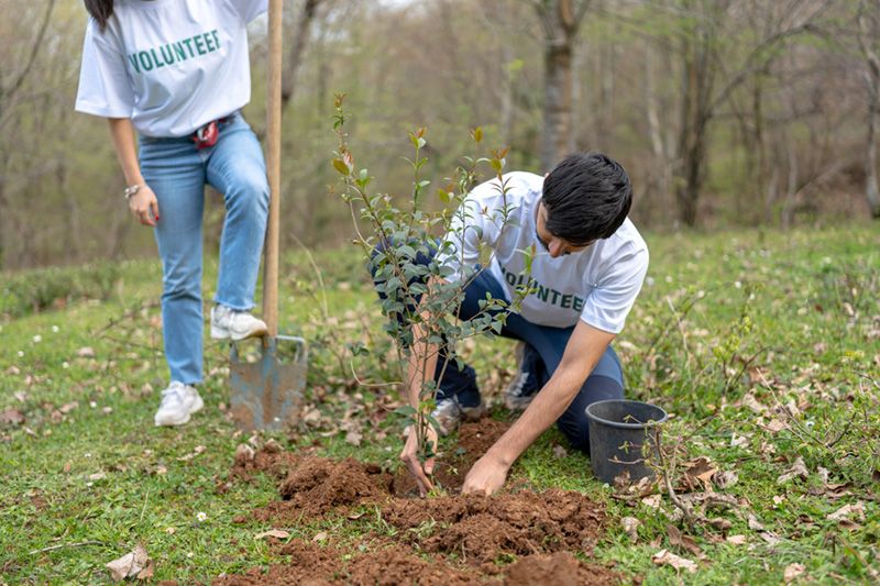 plantation1 ECOSYSTEM RESTORATION