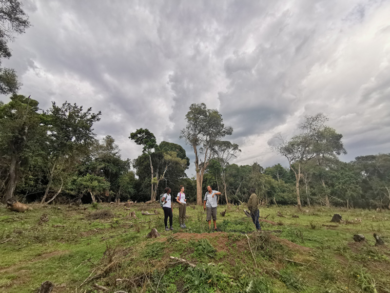 Planting Trees in Kenya by Free Spirit Foundation