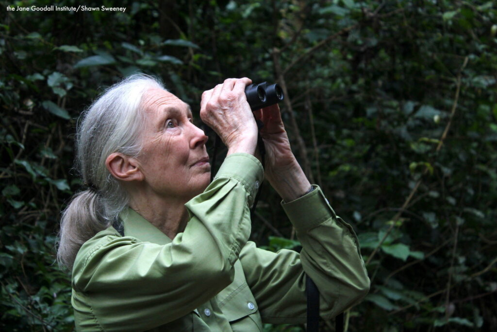 Jane Goodall Institute FR joins PLANET 2030