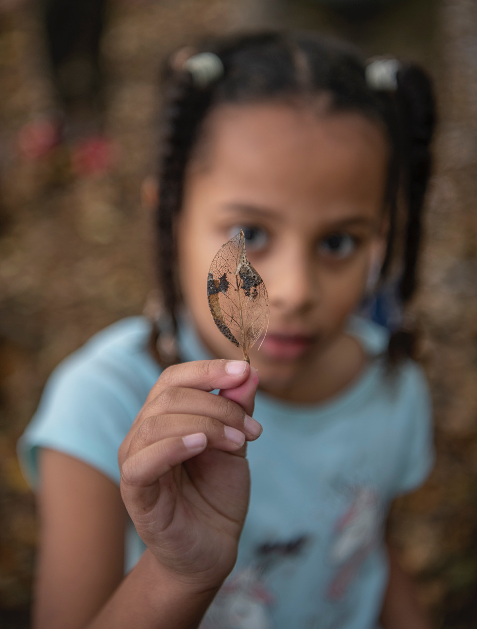 Connecting Kids and Nature Just One Tree PLANET 2030