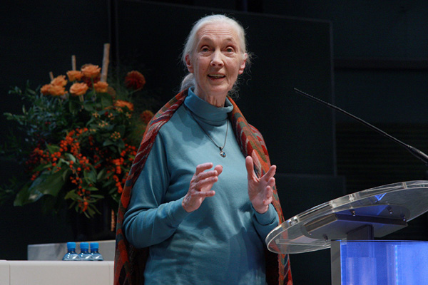 Support Jane Goodall Institute France